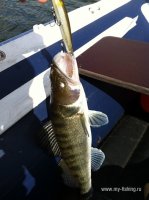 IMG_0586.JPG