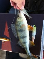 IMG_0605.JPG