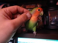DSC01017.JPG