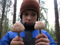 IMG_2829.JPG