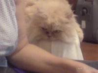 DSC00422.JPG