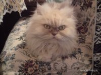 DSC00555.JPG
