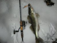 IMG_1158.JPG