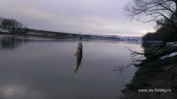 IMAG0148.jpg