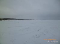 P1010060.JPG