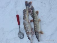 IMG_0173.JPG