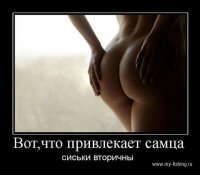 f19b8222b3b1.jpg