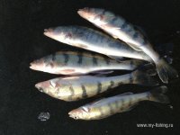 IMG_0848.JPG