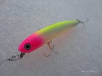 hmkl_wake_minnow_75..JPG