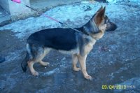 100_1472.JPG
