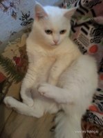 СюзаннаIMG_20130412_072753.jpg