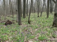 IMG_3296.JPG