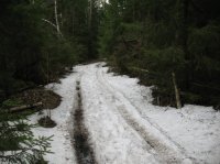 IMG_3443.JPG