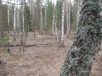 IMG_3438.JPG
