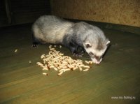 IMG_3474.JPG