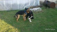2013-05-02-439.jpg