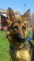 2013-05-02-422.jpg