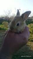 2013-05-02-428.jpg