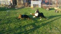 2013-05-02-436.jpg
