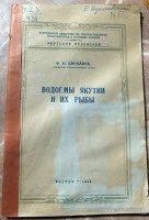 DSCF0718кадр8.jpg
