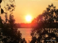 IMG_2981.JPG