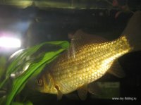 IMG_3935.JPG
