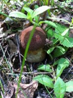 IMG_1106.JPG