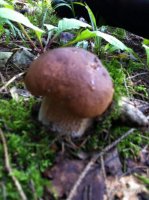 IMG_1158.JPG
