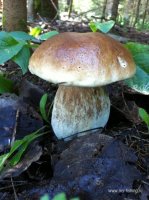 IMG_1160.JPG