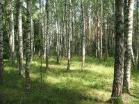 IMG_4063.JPG
