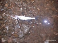 20130807_230356.jpg