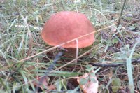 IMAG0933.jpg