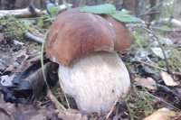 IMAG0935.jpg