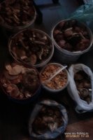 IMAG0930.jpg