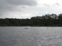 IMG_0824.JPG