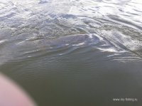 20130903_140907.jpg