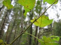 IMG_5046.JPG
