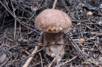 IMAG0944.jpg