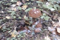 IMAG0946.jpg