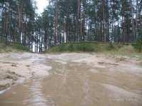 IMG_5136.JPG