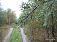 IMG_5197.JPG