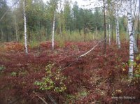 IMG_5199.JPG