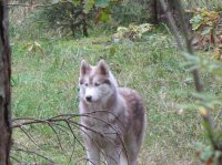 IMG_5354.JPG