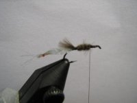 IMG_2350.jpg