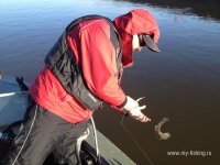 IMG_0486.JPG