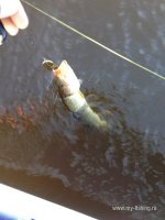 IMG_0507.JPG