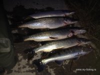 IMG_0526.JPG