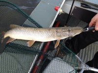 IMG_0541.JPG
