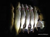 IMG_0553.JPG
