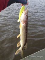 IMG_0570.JPG
